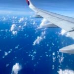 Coming Home to Prayagraj