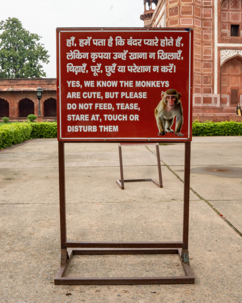 Sign at the Taj Mahal asking visitors not to feed or disturb the monkeys