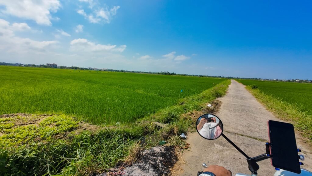 Motorbike ride along a narrow path through green rice fields near Hoi An